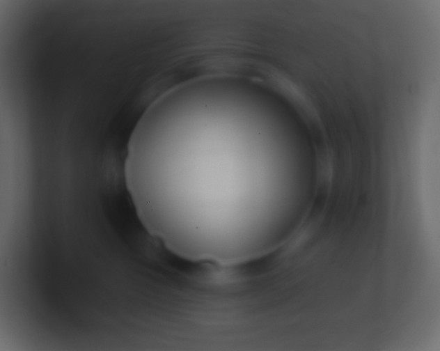 X0000100780333200807031237