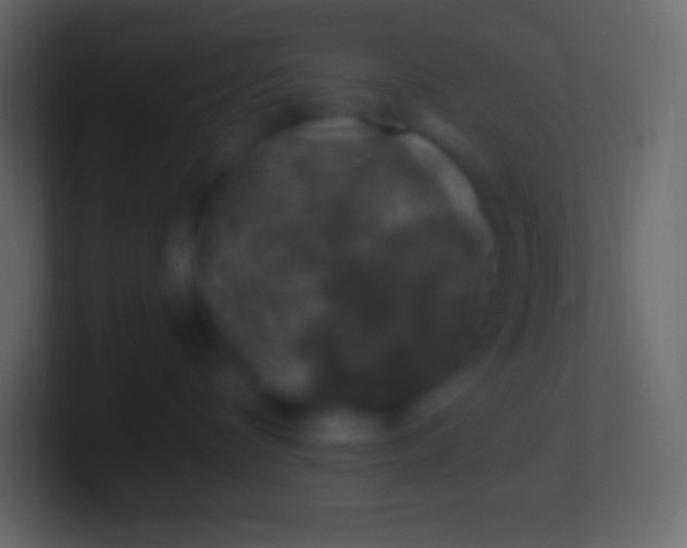 X0000100780336200807031237