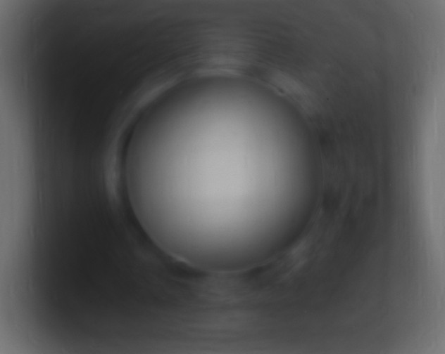 X0000100780338200807031236