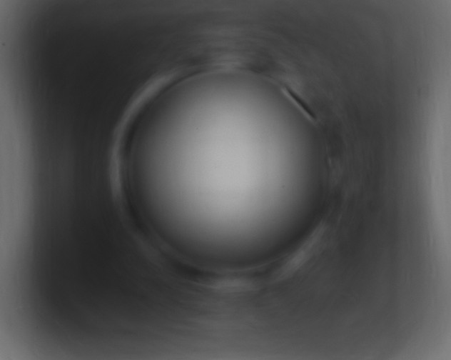 X0000100780342200807031236