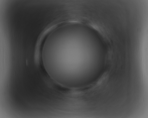 X0000100780343200807031236