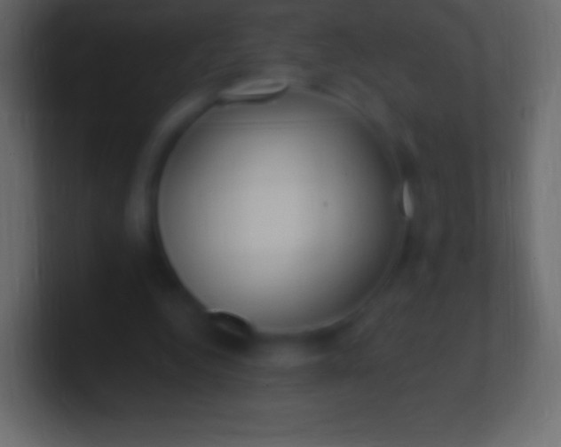 X0000100780344200807031236