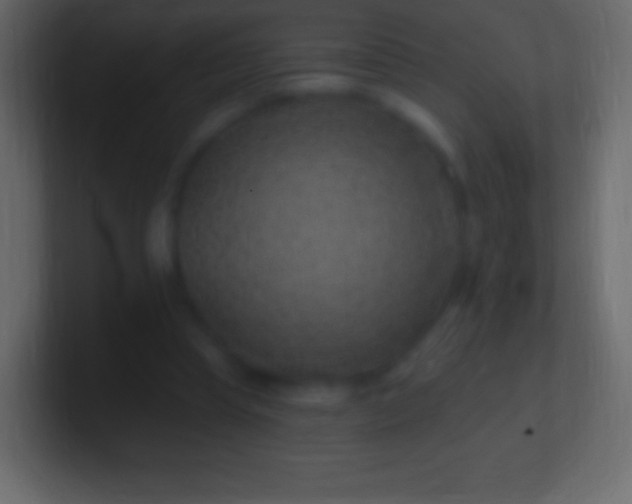 X0000100780345200807031236