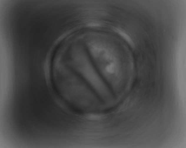 X0000100780346200807031236