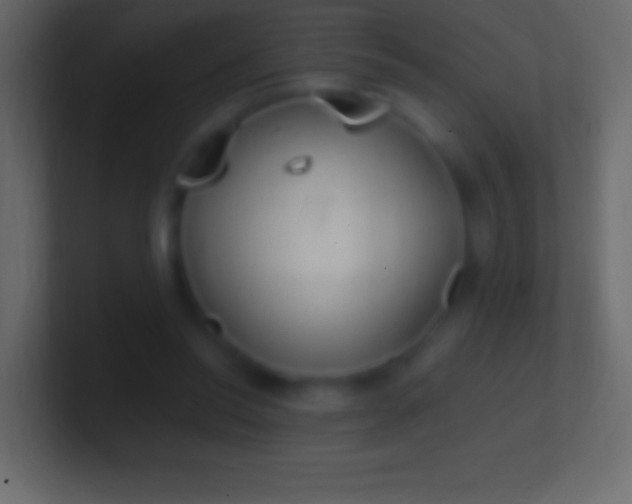 X0000100780350200807031236