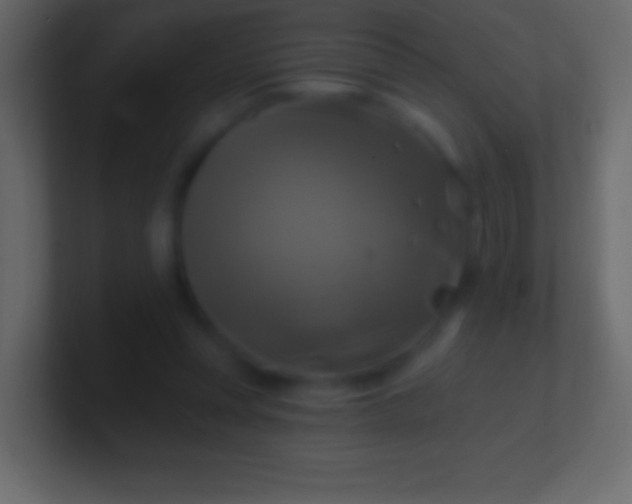 X0000100780351200807031236