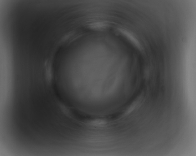 X0000100780353200807031236