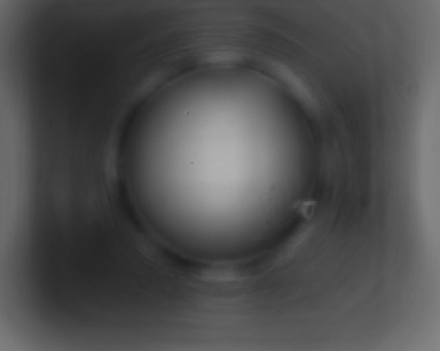 X0000100780354200807031236