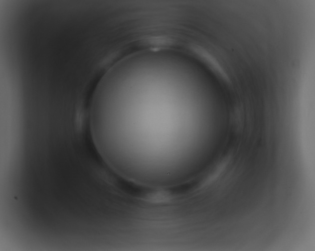 X0000100780355200807031236