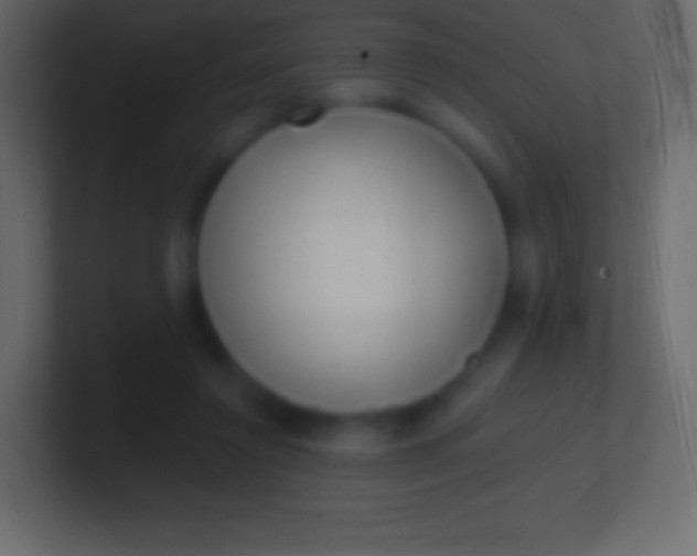 X0000100780356200807031236