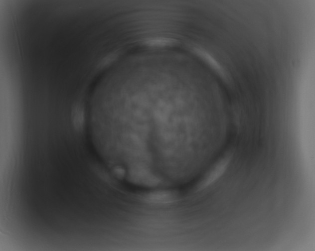 X0000100780357200807031236