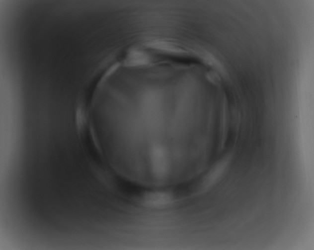 X0000100780358200807031236