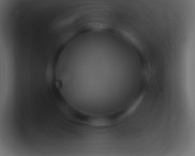 X0000100780359200807031236