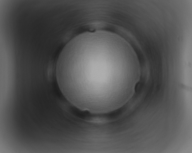 X0000100780360200807031236