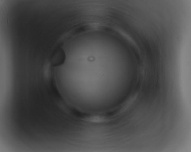 X0000100780361200807031236