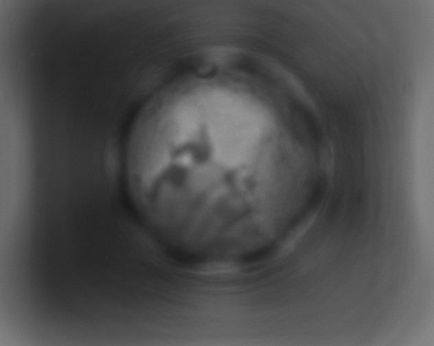 X0000100780363200807031236