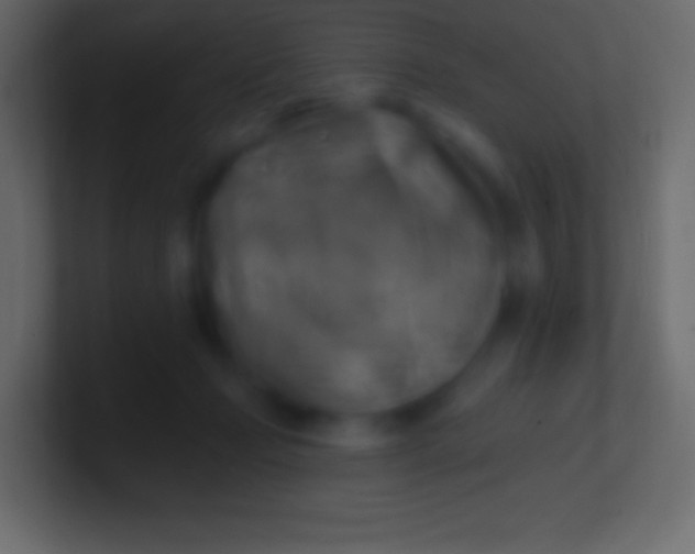 X0000100780365200807031236