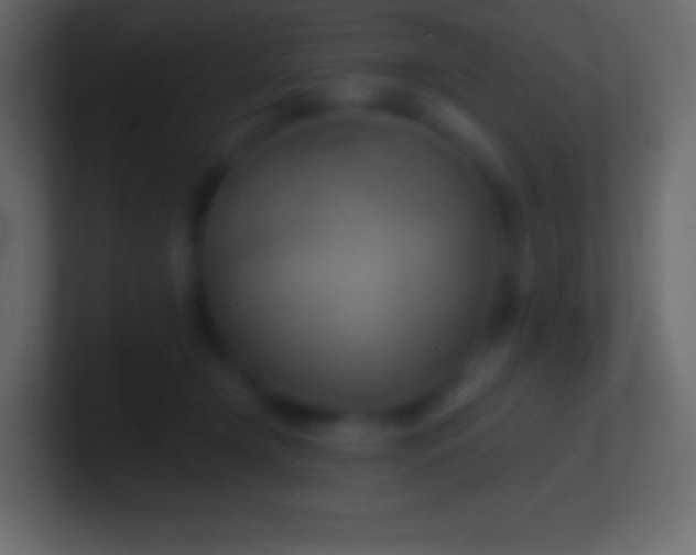 X0000100780366200807031236