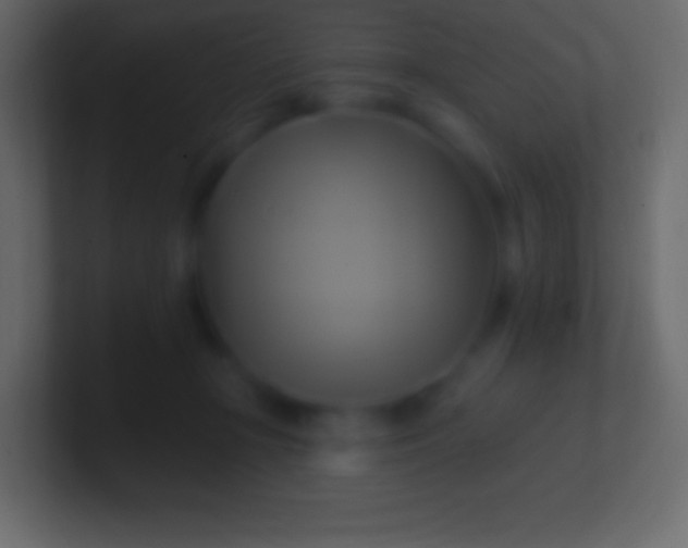 X0000100780367200807031236