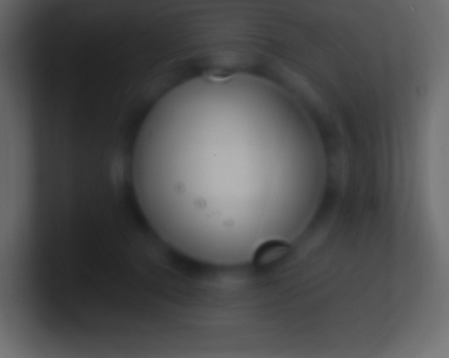 X0000100780368200807031236