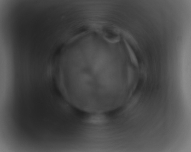 X0000100780369200807031236