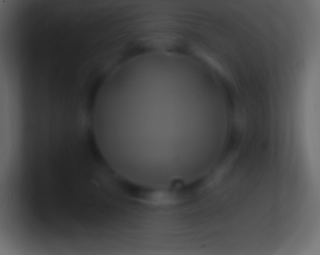 X0000100780371200807031236