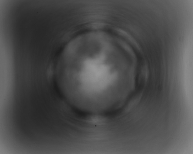 X0000100780372200807031236