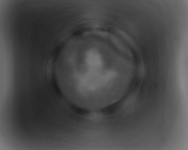 X0000100780376200807031236