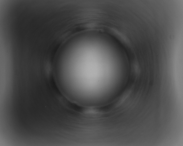 X0000100780380200807031236