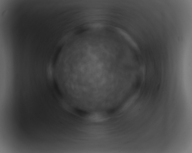 X0000100780381200807031237