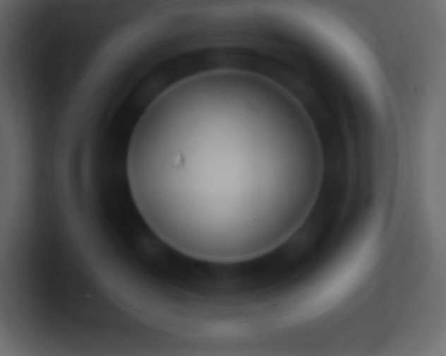 X0000100780382200807031237