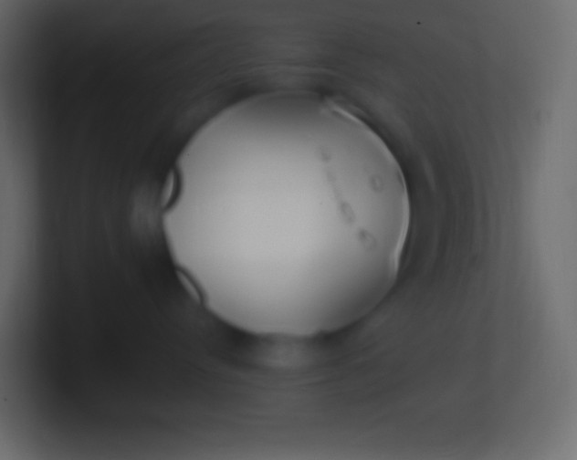 X0000100780384200807031237