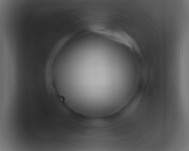 X0000100780385200807031236