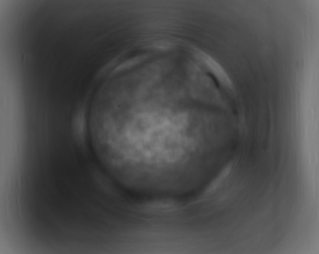 X0000100780386200807031236