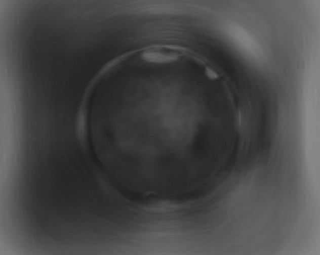 X0000100780387200807031236