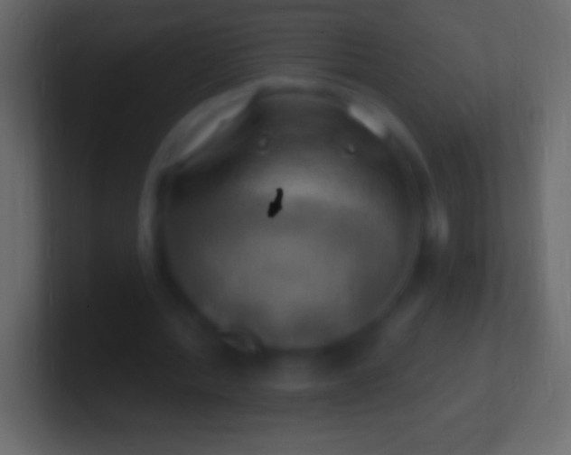 X0000100780388200807031236