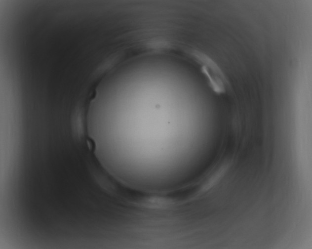 X0000100780393200807031236