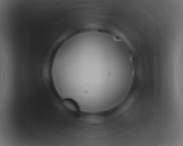 X0000100780395200807031236