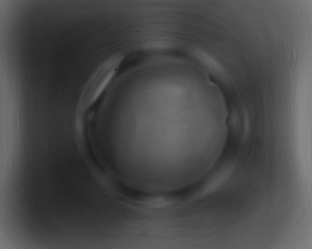 X0000100780396200807031236