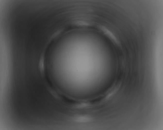 X0000100780398200807031236