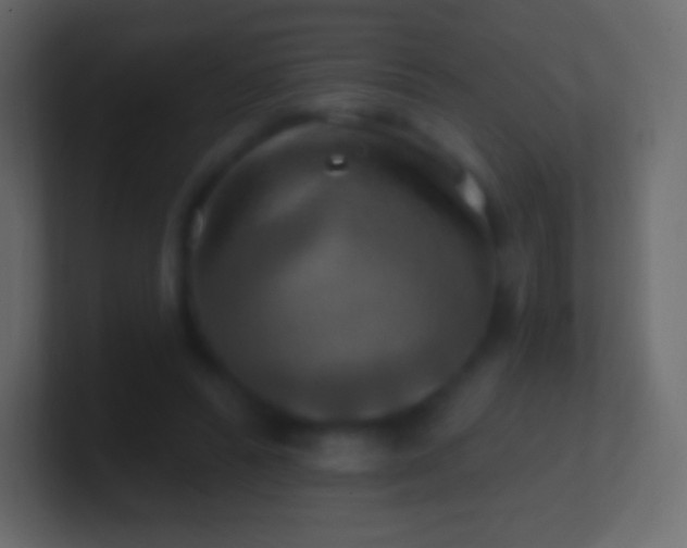 X0000100780400200807031236