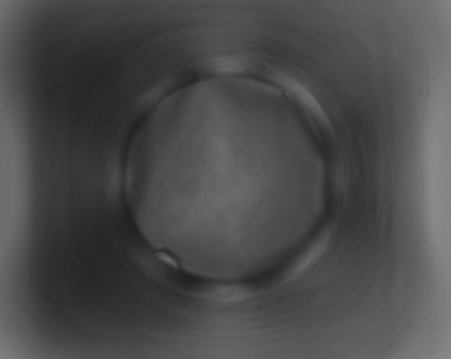 X0000100780401200807031236