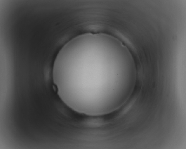 X0000100780403200807031236