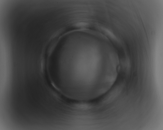 X0000100780404200807031236