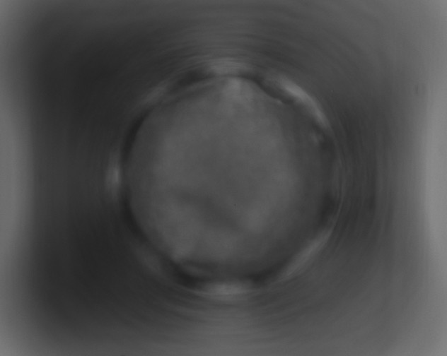 X0000100780405200807031236