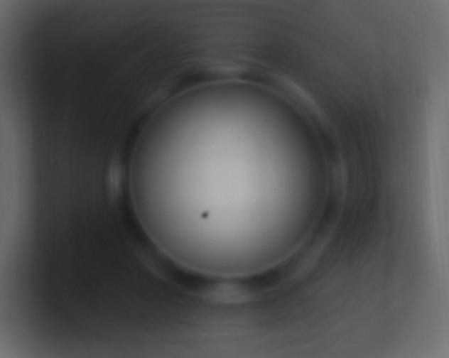 X0000100780406200807031236