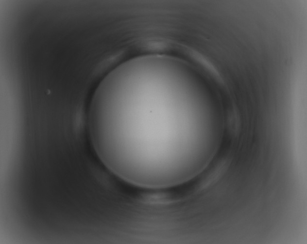 X0000100780407200807031236