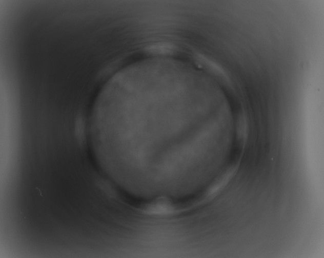 X0000100780409200807031236