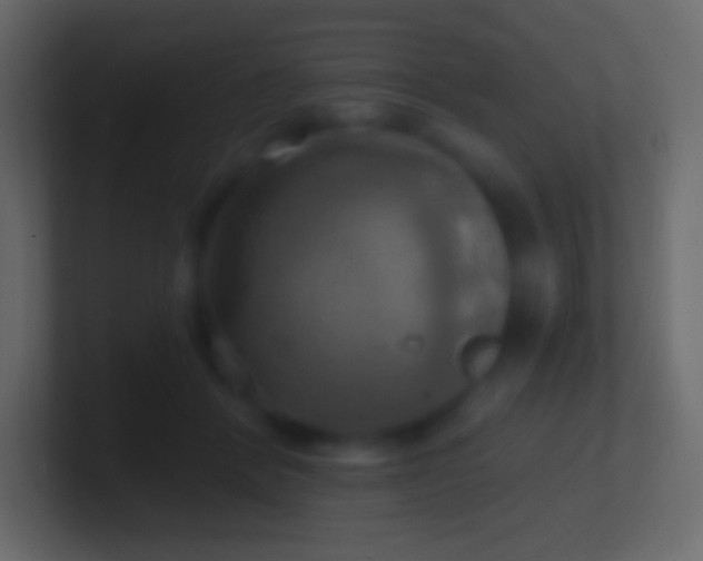 X0000100780412200807031236