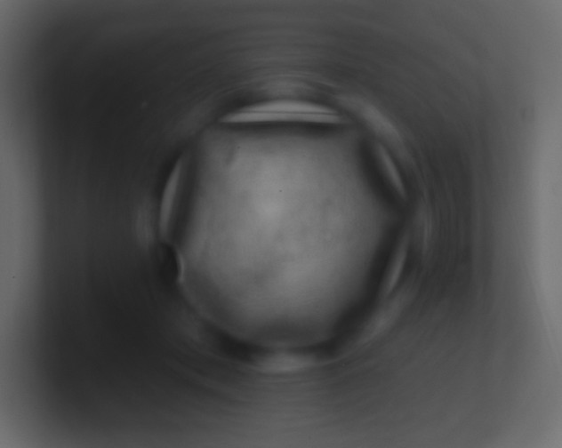 X0000100780413200807031235